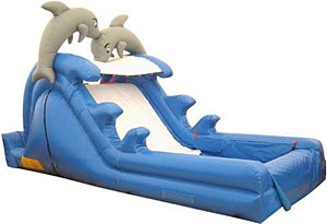 Dolphin 16' Wet/Dry Slide