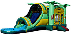 Jungle Slide Wet Dry Combo