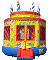 Large Birthday Cake