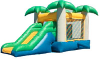 Palm Tree Jump Slide