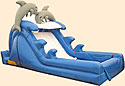 Dolphin 12' Wet/Dry Slide Bounce House