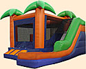 Paradise 5N1 Wet/Dry Combo Bounce House