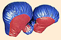 Boxing Gloves (4) w/ Bag  Bounce House