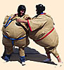 Sumo Suits Inflatable and Mat Bounce House
