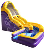 18' Curve Wave Water Slide