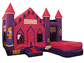 Princess Castle7N1 Wet/Dry Combo