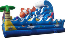 Tropical Dry Obstacle Course