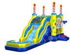 Birthday Cake Wet/Dry Combo