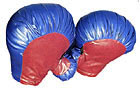 Boxing Gloves (4) w/ Bag  Inflatable Accessories