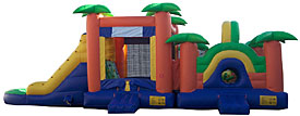 Paradise Playground Wet/Dry Combo Bounce House